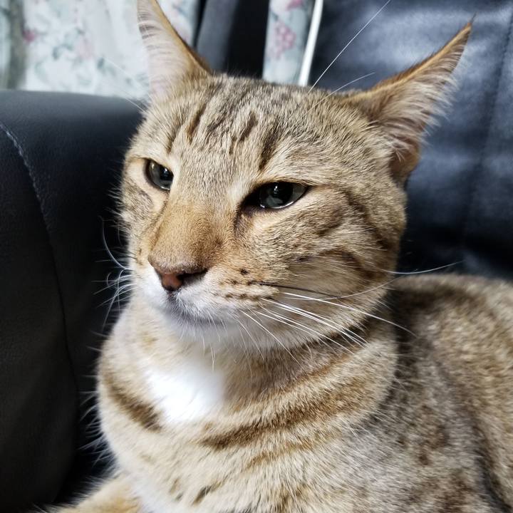 845a11de 08f1 46f8 9c67 d8dd00c696c0 1646132617081