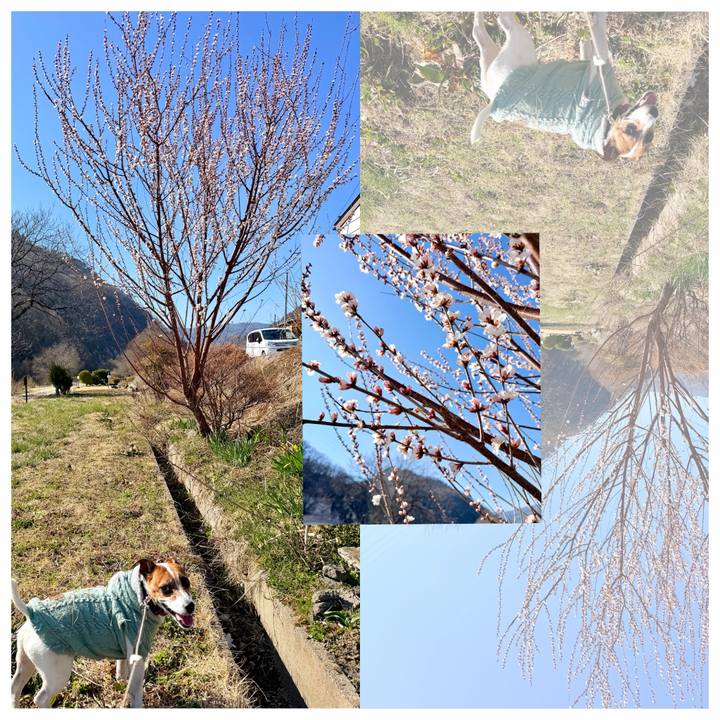 845a2ef1 6cf8 476d 8a3b b68e21c49903 1773733576488