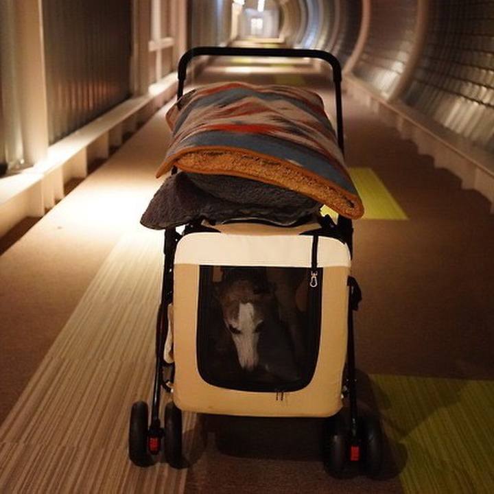 845a50fc 0aa1 4de9 9686 470480044bde 1544091232163