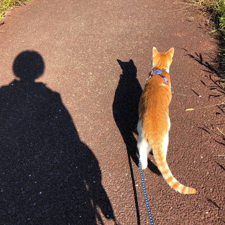 845a5175 6c20 4e02 bf8d 30a8bafa6bb1 1539841099994