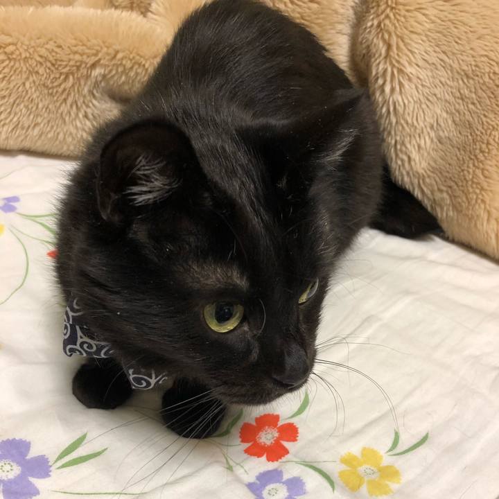 845a58ac 5f5f 40ab 8d1b 7f0dbb77e2a4 1576668772924