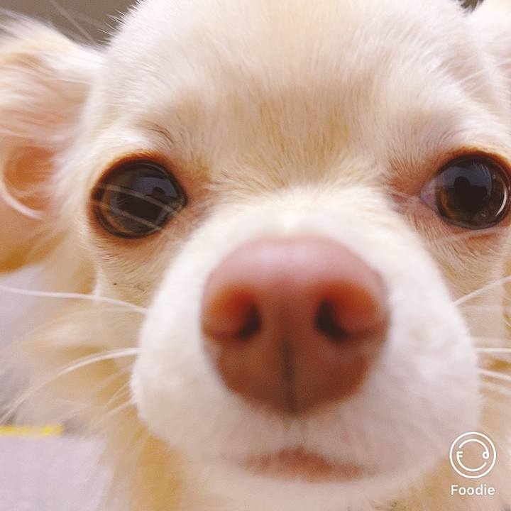 845ac91a 5ff2 4a4a ba95 3f79aeb2bab5 1607471589805