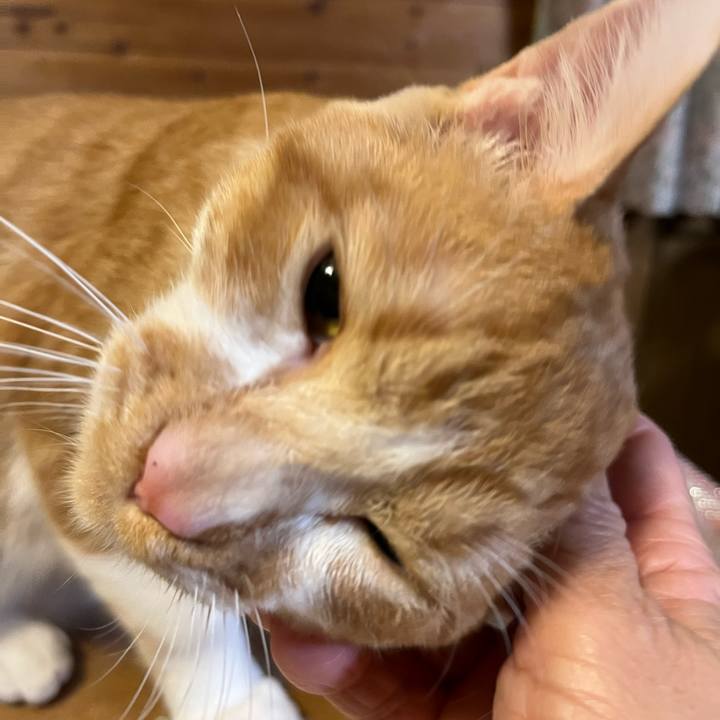 845ae989 8d57 4ef8 bc74 4b256d54f386 1674080045965