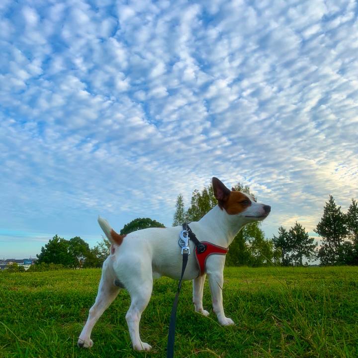 845b1938 a9fa 4bfb b7d5 b28b2375e15a 1538475587502