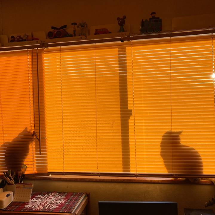 845b3a8f 1e07 4e48 86b3 e63a467934fa 1637705805794