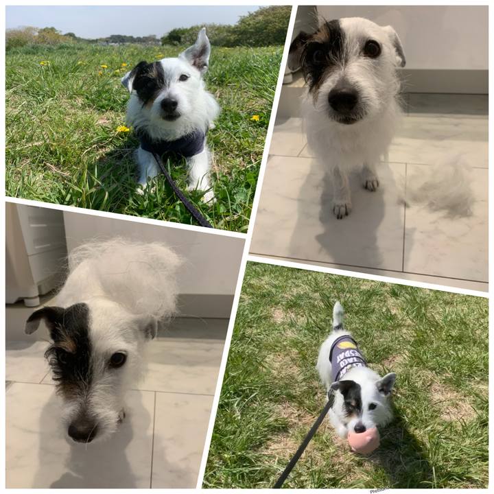 845b84b5 cb80 4240 bb04 57f58de73c09 1744852424244