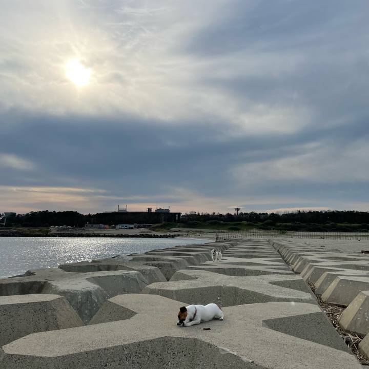 845b9a9b f1da 4802 9259 073552579678 1664754531414