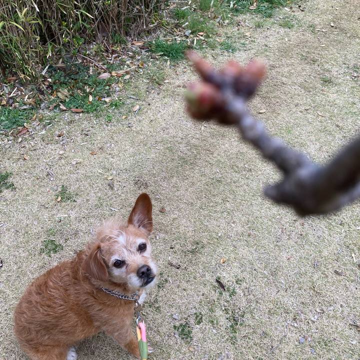 845ba406 ff9e 4c36 8708 49427cf3467d 1711292113944