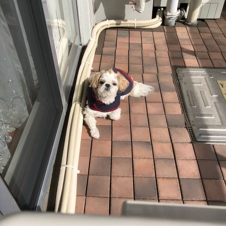 845bb670 2781 42f7 8f65 8a84e6f89012 1549921536783