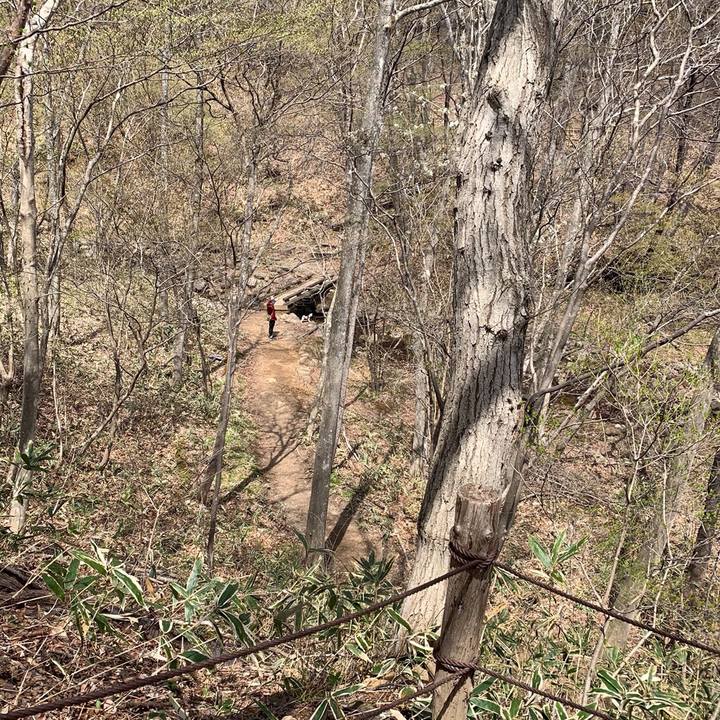 845bc07f 5528 410c b572 fc76d21e701b 1559653086272