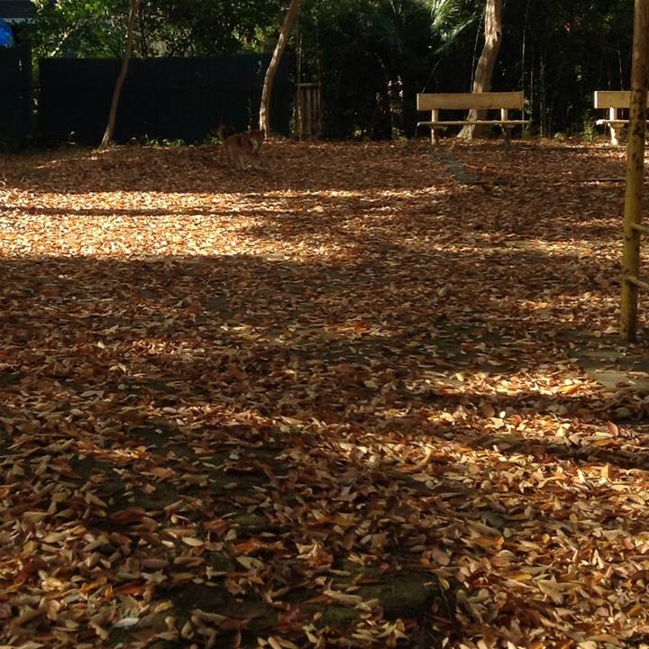 845bd5eb f7dc 4515 ab78 edf41c06d06d 1511931173851