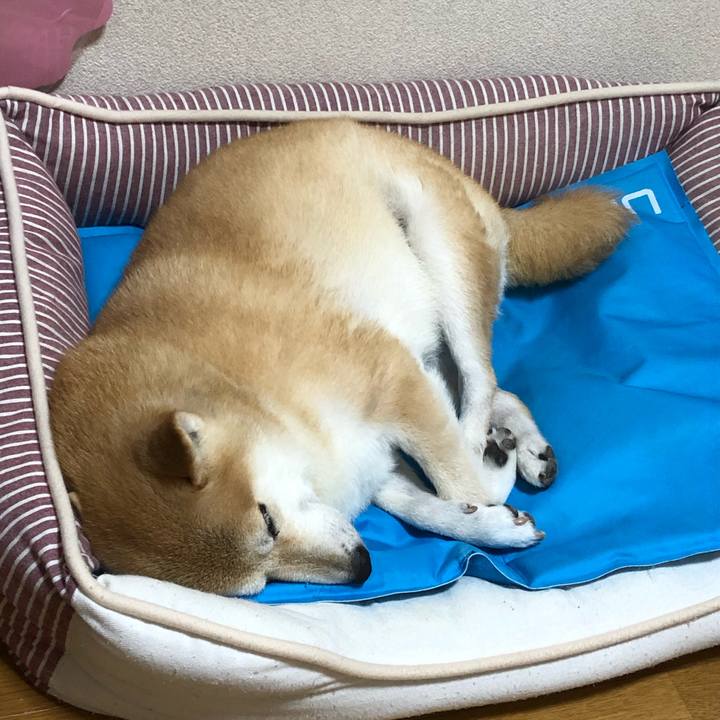 845bd996 5835 4949 b9f3 447cf7f9c561 1600648333211