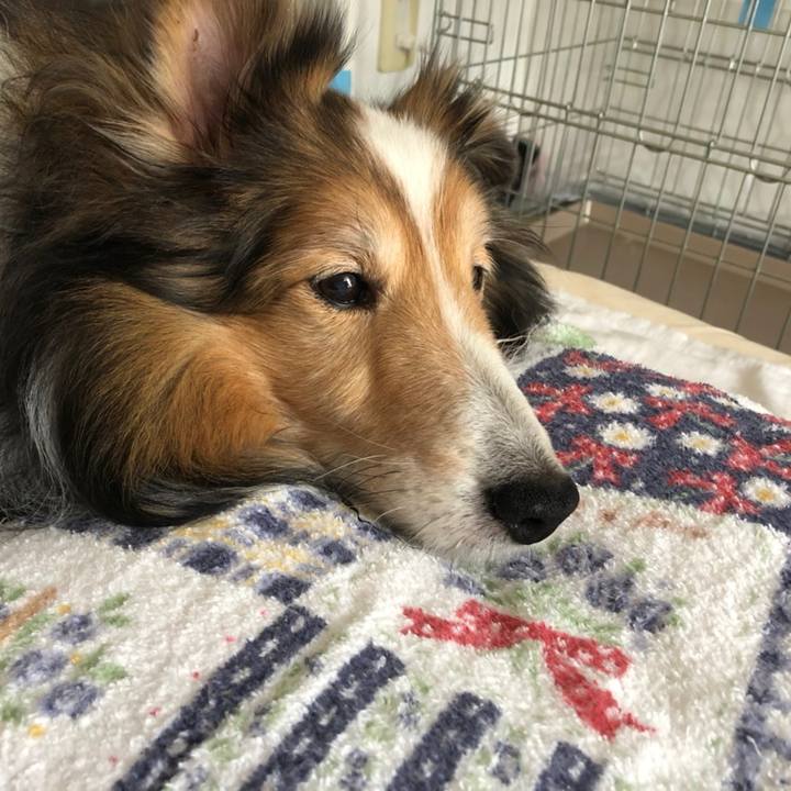 845bf0dc 2cd8 4b65 8a12 55502224d205 1585481758424