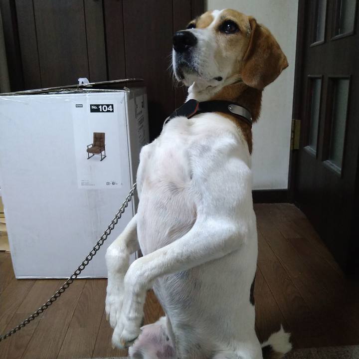 845c64ea 41aa 4928 a419 1c1407100ac5 1659066899266