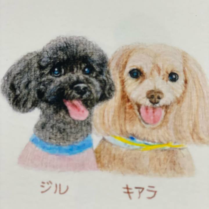 845c7c83 10b7 4c75 b7bd 952339a74e72 1772073869076