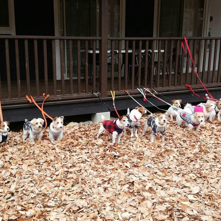 845c8fb1 5c34 4ecf 9e10 517a0e211cf3 1511308642380