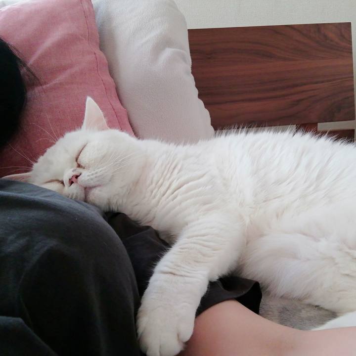 845ca9c6 ffb3 46b0 ac77 4fb3b24fa519 1641105873063