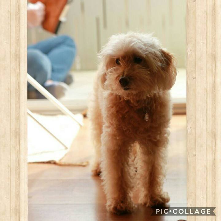 845caf1a 63c7 49ef 94ca 8420598e5659 1586429640279