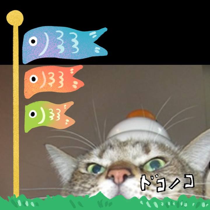 845cbd93 b0a6 4894 be8b ee0176d4daf0 1714877276915