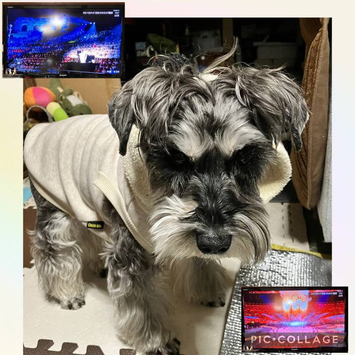 845ce0ff 8e6d 4246 9c7e 429929e886ea 1771797811676