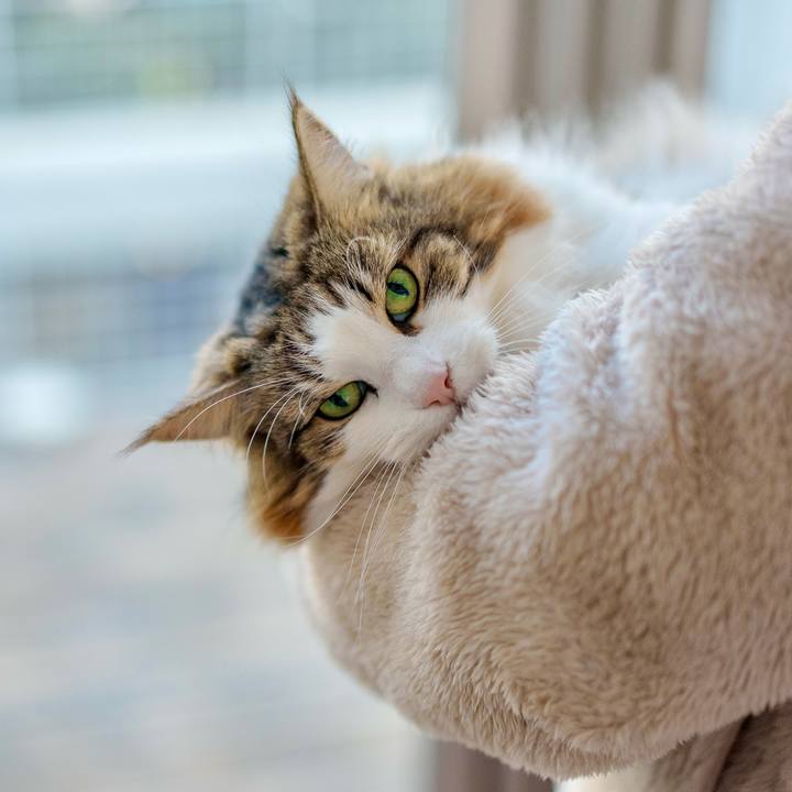 845d2a41 9836 4e34 9351 a360f7f110ad 1710032462468