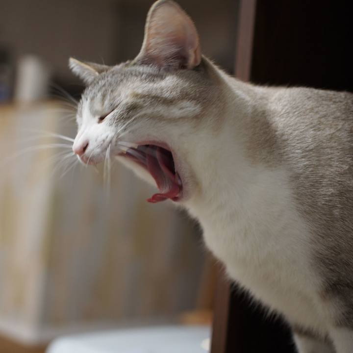 845d6b42 c987 4899 bbcf 85ba3519be4c 1548341900541