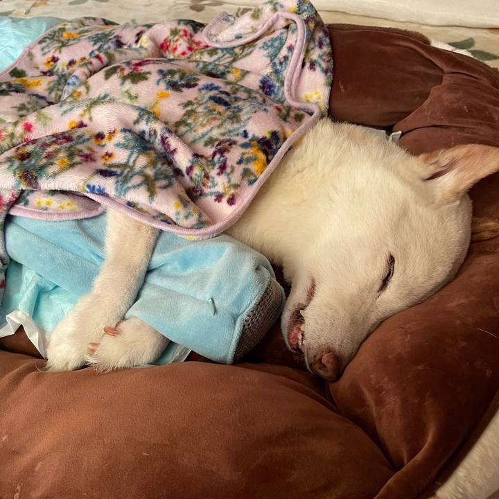 845d743a b670 42be acc2 b61626b9eebc 1668902135404