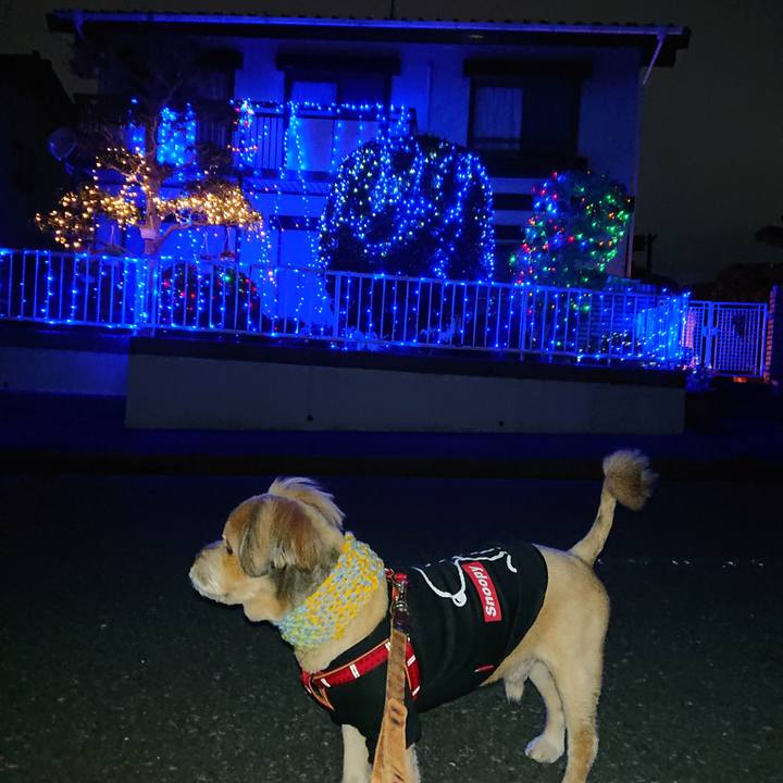 845d8fbe d415 4140 9957 ddb3e9855602 1606474882627