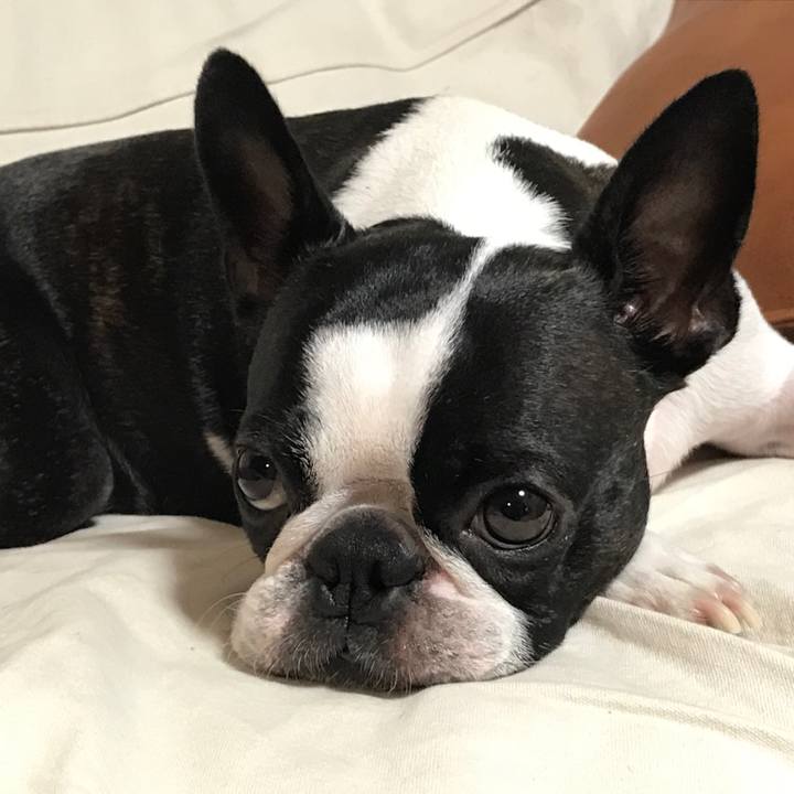 845d99c8 44c9 43ac 9b9c 25b5ba94373b 1662547365701