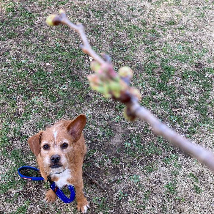 845dd5d6 b484 4b70 93cd 143093146bdb 1615798191976