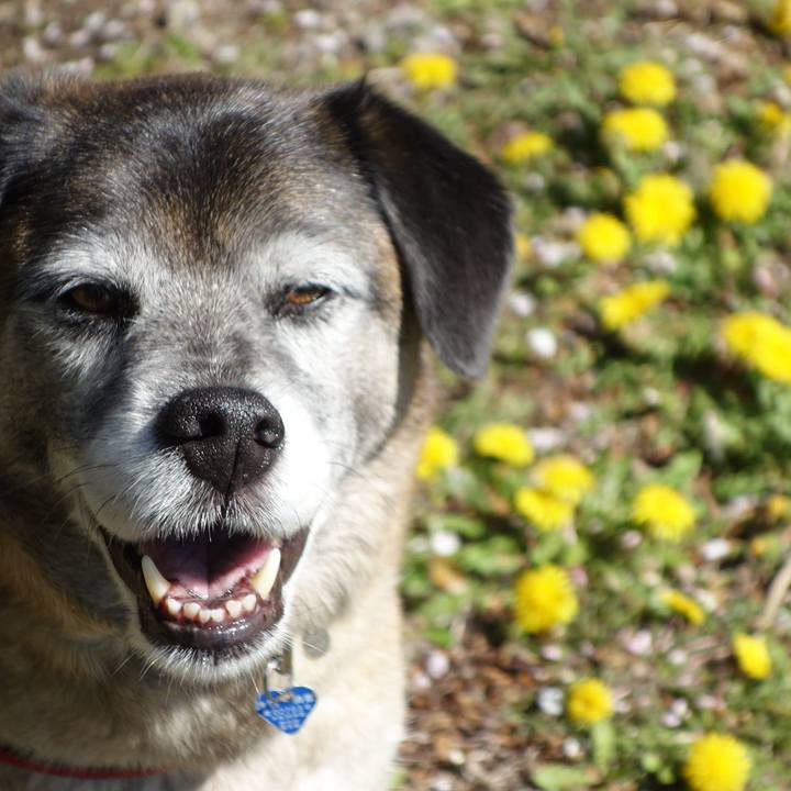 845defa2 bf8f 4124 8c64 d845f265b02b 1713140201373