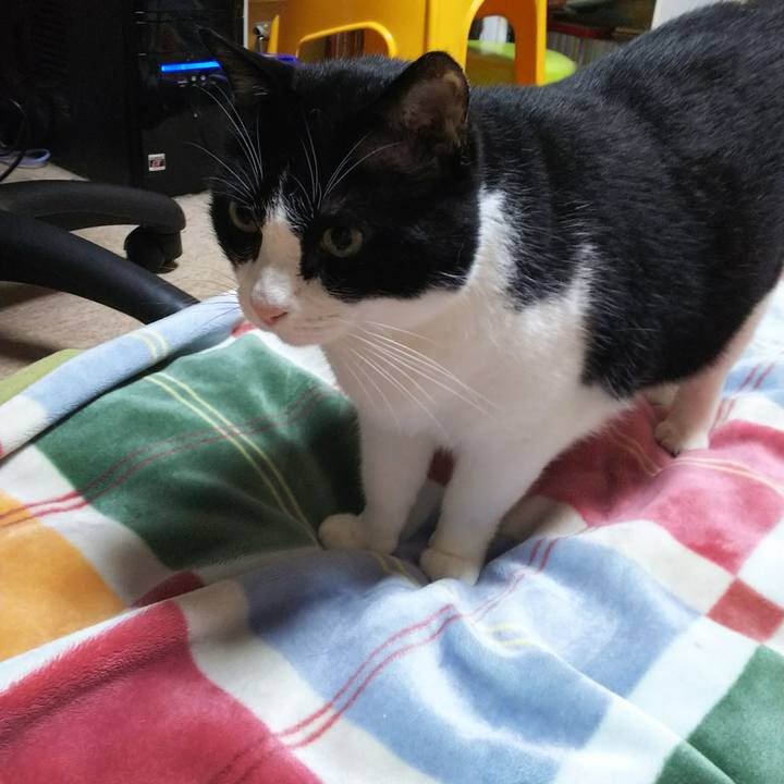 845e126e de08 4659 9293 873bb9e2b58a 1538690024413