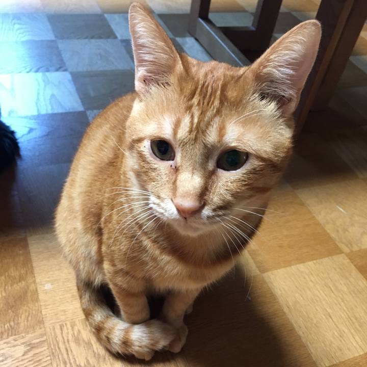 845e2d9b cda8 4c74 bf4f 0ccba3007476 1539378617276