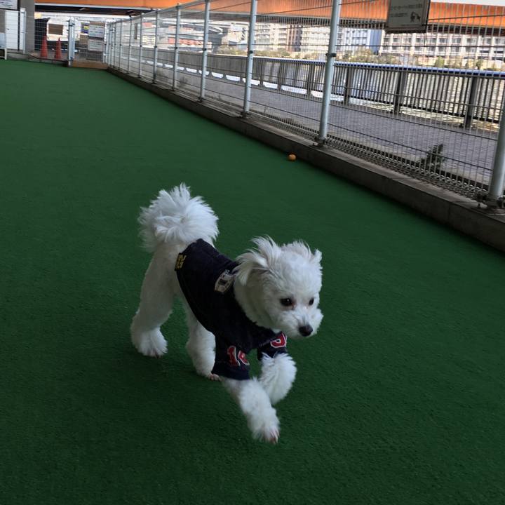 845e7670 a99e 43c9 a6d2 839d1972ff11 1551787993495