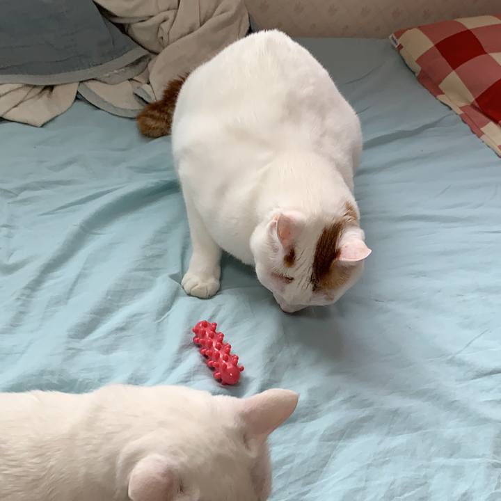 845e7db1 6c1f 4ed6 a986 93464899cb1c 1623186430504