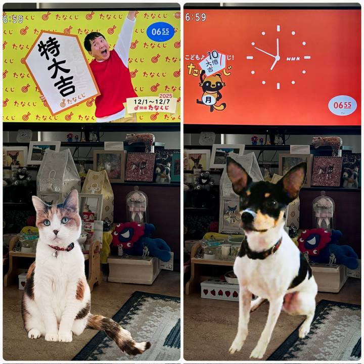 845e89c5 e157 43fb 93c1 2d0f6e14fce6 1764541541615