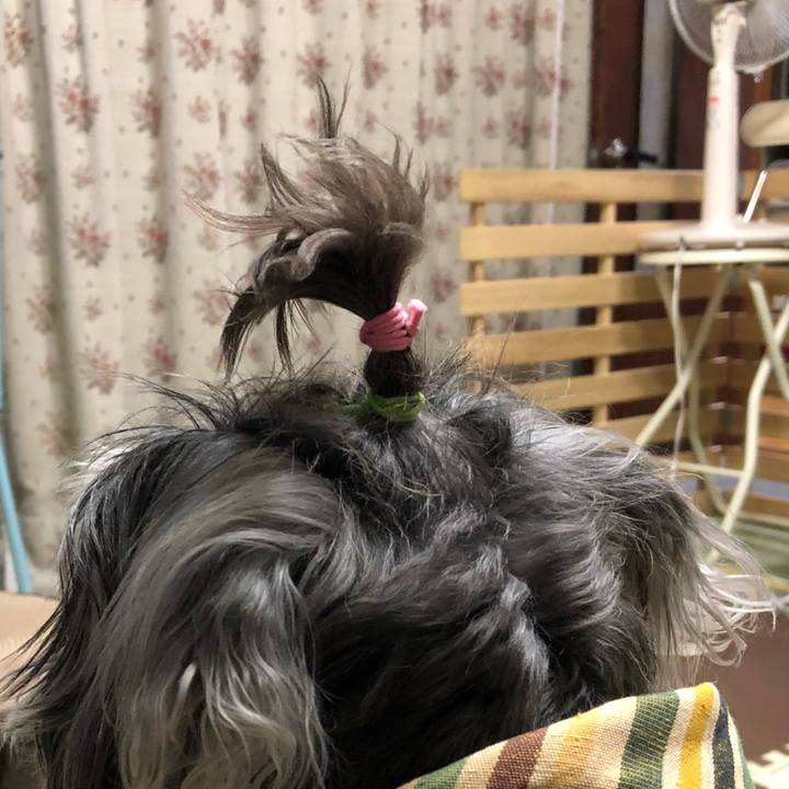 845e9072 2f38 4488 bbb6 4041e7fe26a5 1532519393157