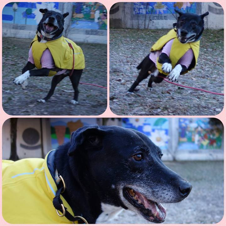 845e94bb debc 41b1 a3e9 a07697d68798 1738198151062