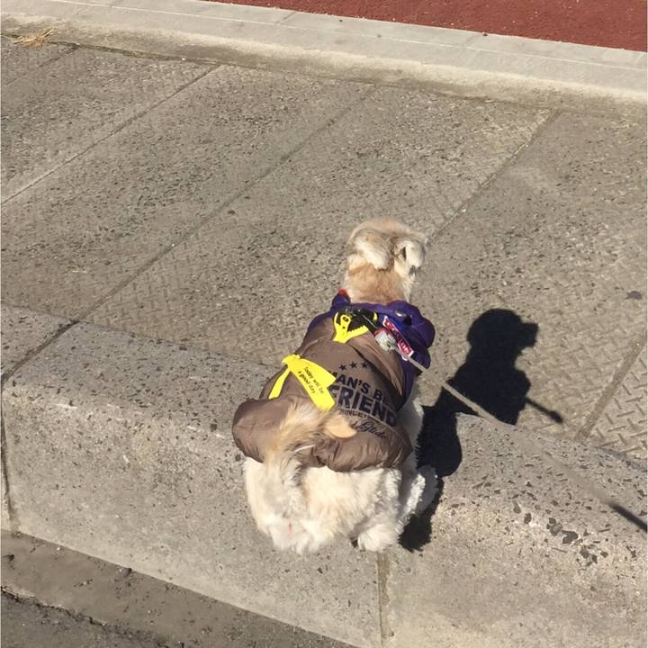 845ebb2a b695 423a 9bac 322df5c70e23 1518933679588