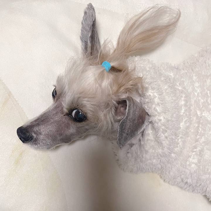 845f22e2 a03d 45c2 9cc5 c4c2e358cfed 1768720751138