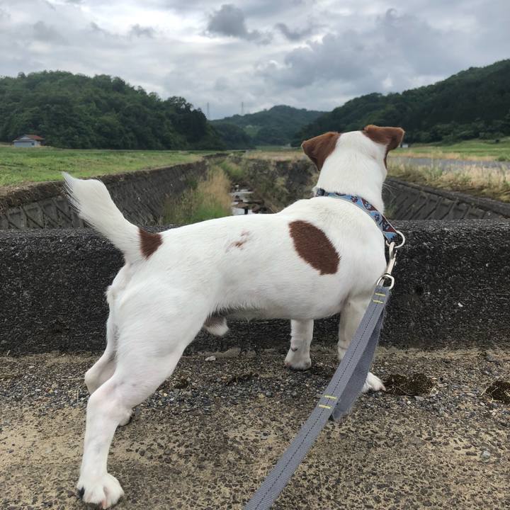 845f2e7a e976 41fb 8784 41887c7c5260 1560158860880