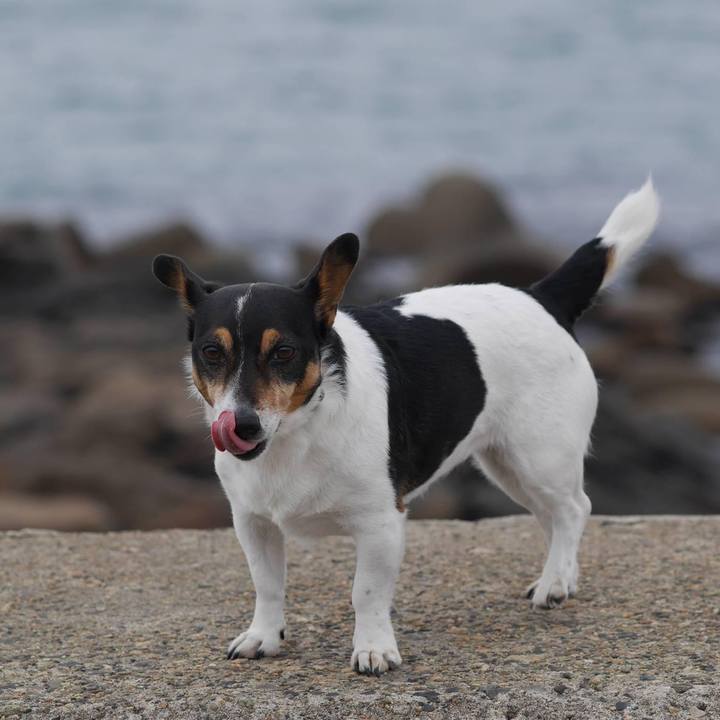 845f3ea8 5a1a 4688 8972 27de2ad7da4f 1684022624009