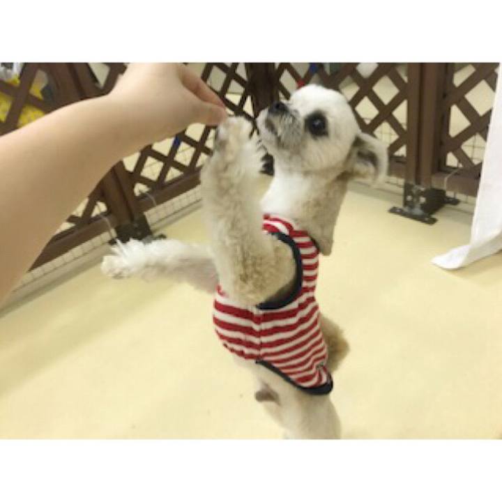 845f667a 2ad6 445f b13a 8d97142eedbf 1552300547448