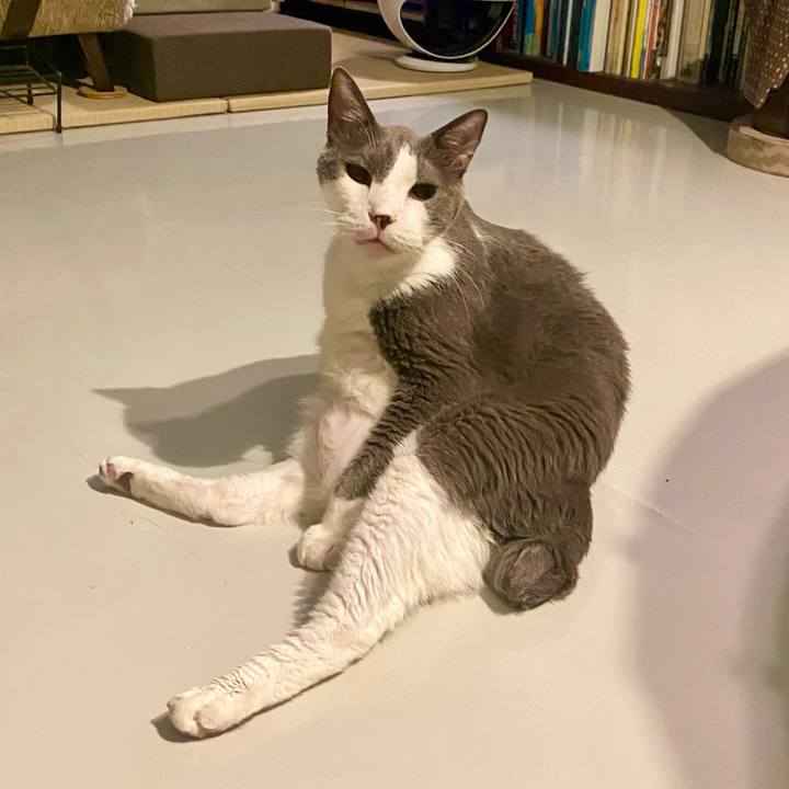 845f8e70 0a19 45cf bf8f 3d1009f3ee11 1755875780291