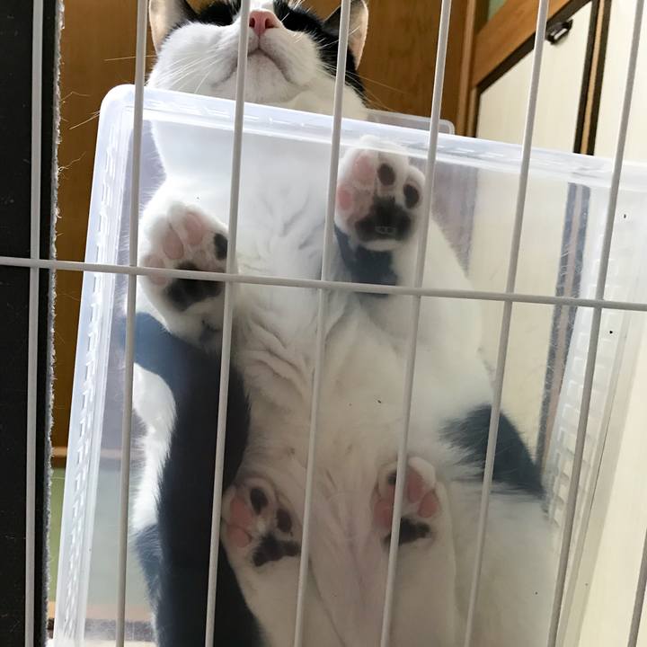 845fc280 ca7e 41e9 88e0 f5ec95fec604 1513213225161