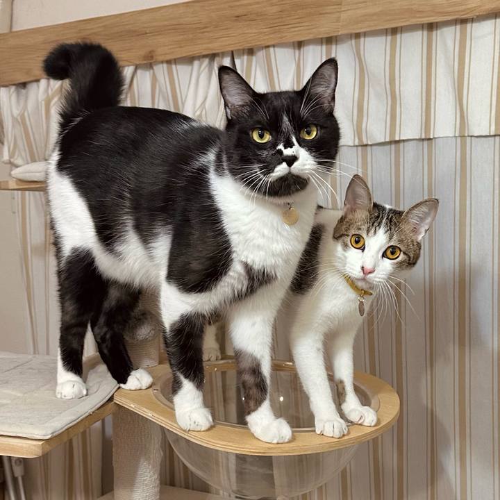 846018f1 f9c4 49c3 8895 66accb308f8f 1762795293075