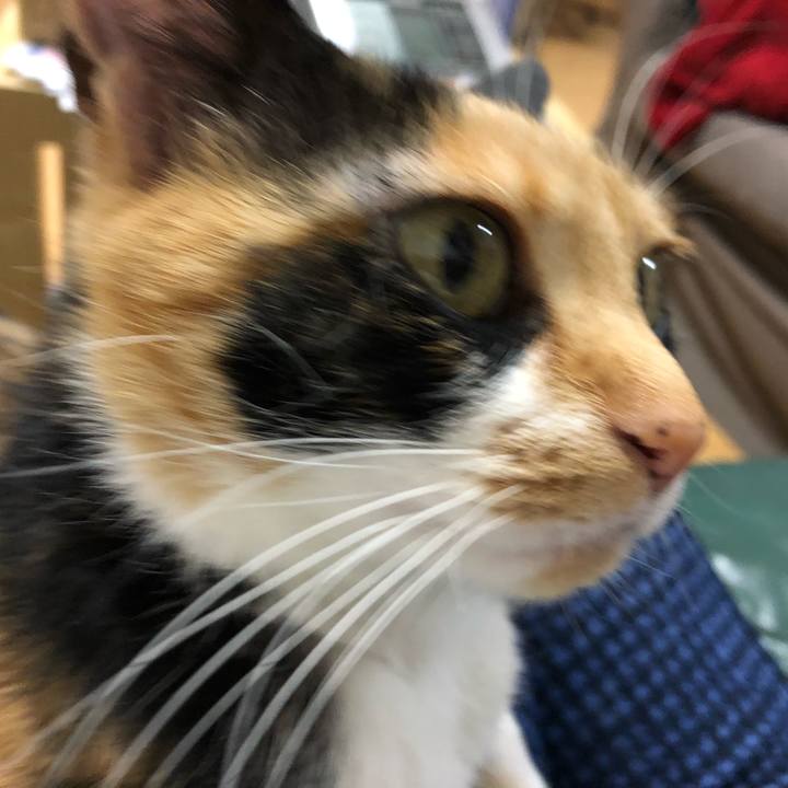 84601d91 a1fc 41a8 812d 3a5c2d26544e 1524747391986