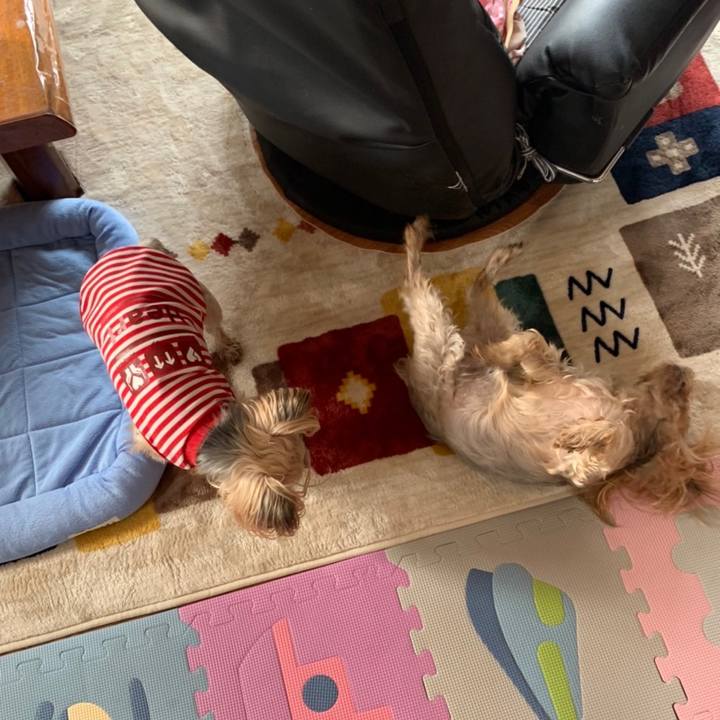 84602856 d0bc 4649 bf99 7ea2af19f46b 1633684993815