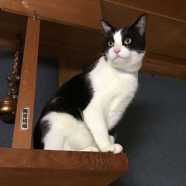 84603620 2a32 49b6 a086 0d6d5801fce5 1733731597820