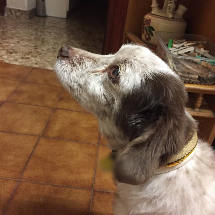 8460483c e0b8 4e55 9ac7 39850a867f6b 1513538933584